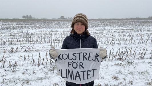 Greta Thunberg rompió el silencio tras ser detenida en Alemania: Proteger el clima no es un delito