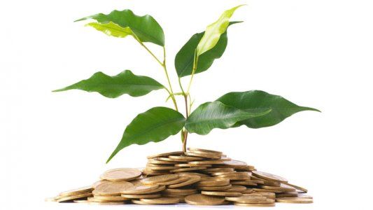 Ingresos pasivos: las mejores ideas