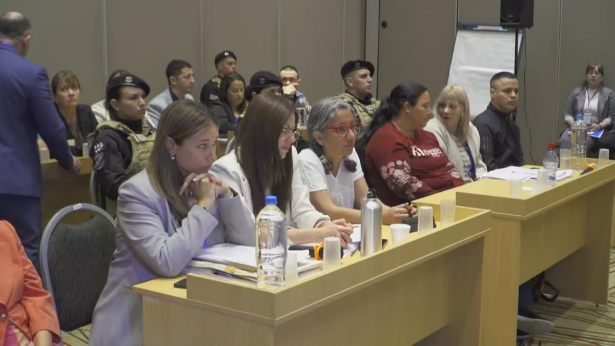 La jueza Dolly Fern&aacute;ndez no acept&oacute; los pedidos de junta m&eacute;dica realizados por las defensas.