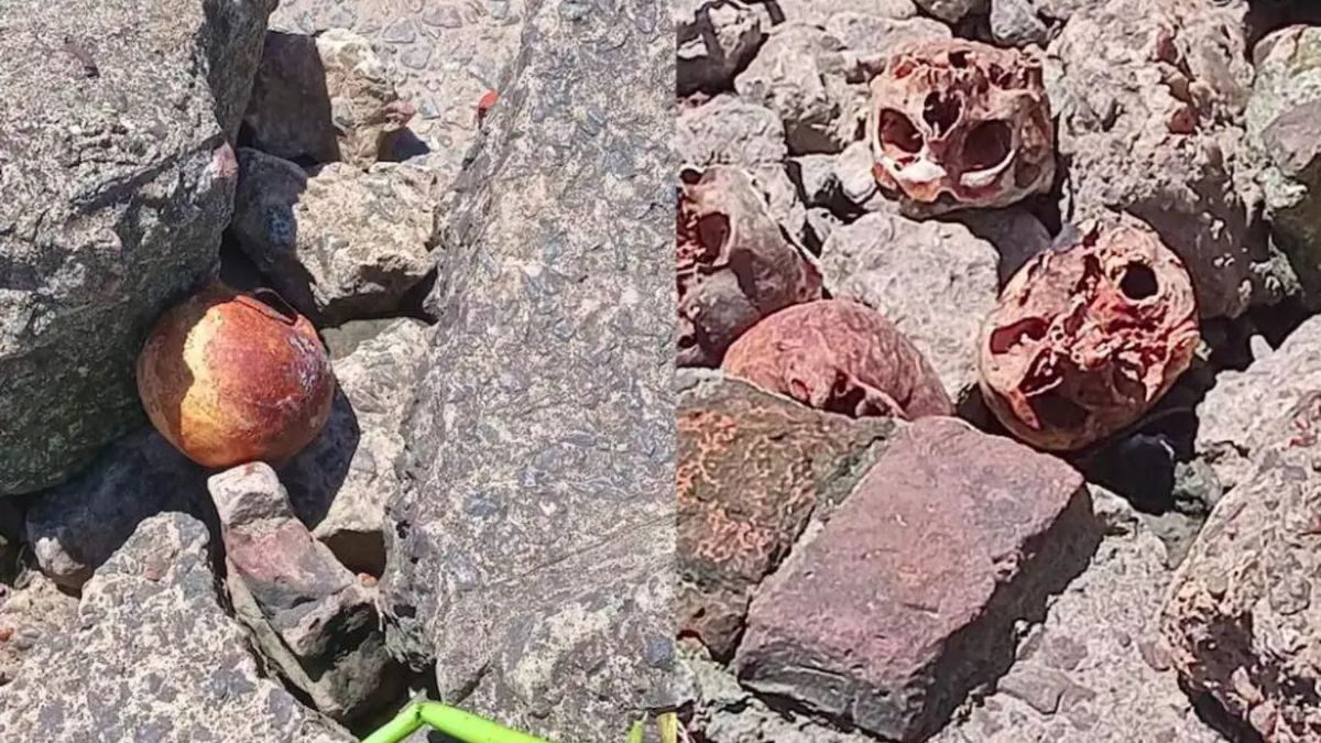 La Policía encontró 17 cráneos en una playa de Quilmes. (Foto: gentileza El Diario Sur)