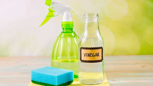 El ahorro invisible en casa: cómo una simple botella de vinagre puede reemplazar hasta 10 productos de limpieza
