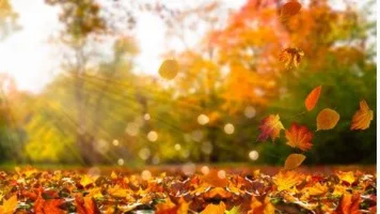 El tiempo en Argentina: el otoño llegará con un fuerte frío polar y con tormentas