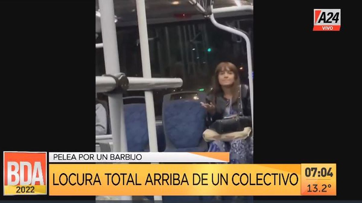 Locura en un colectivo por negarse a usar el barbijo. (Captura de Tv)