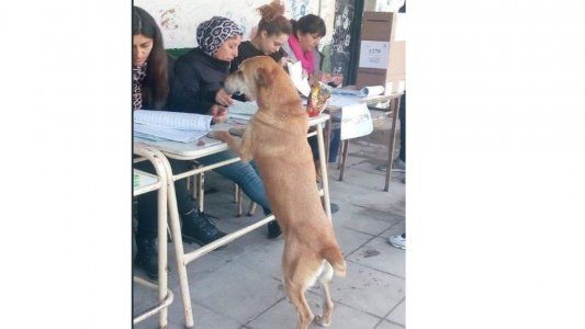 Elecciones 2019: cerraron los comicios, abrieron los memes