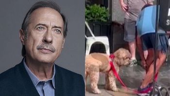 La furia de Guillermo Francella luego de que un perro lo mordiera en la calle: el video