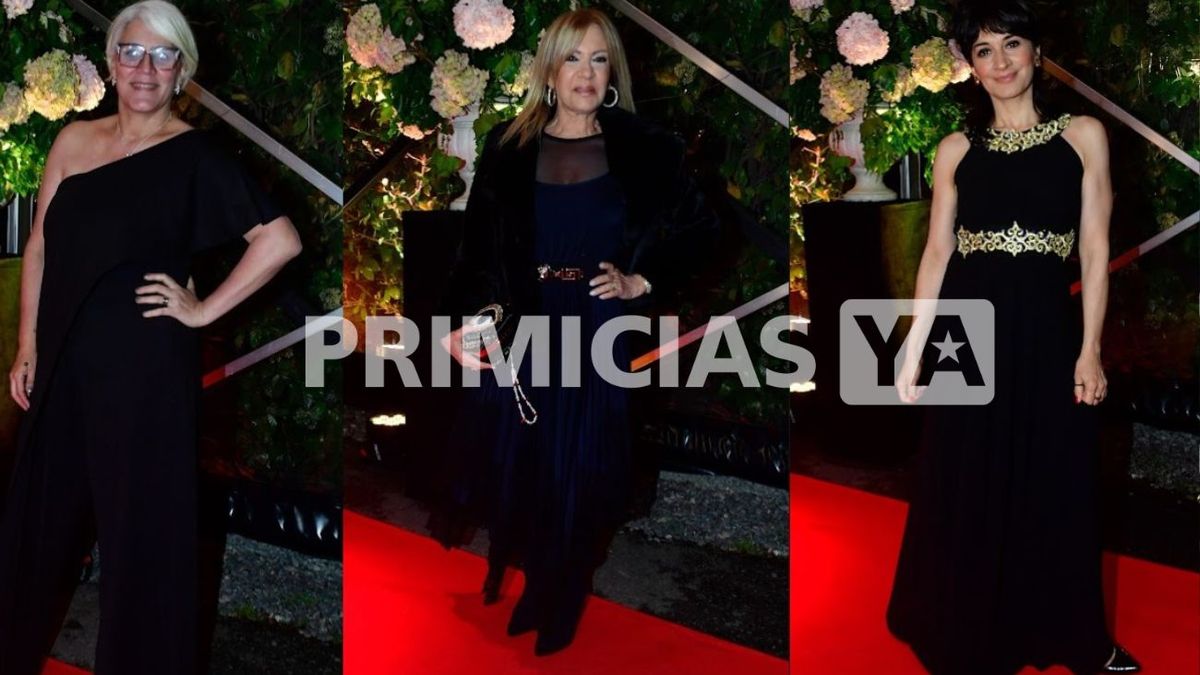 andrea ghidone casamiento 6