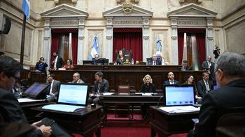El Senado debate la reforma de la ley de salud mental y un régimen de incentivos para grandes inversiones