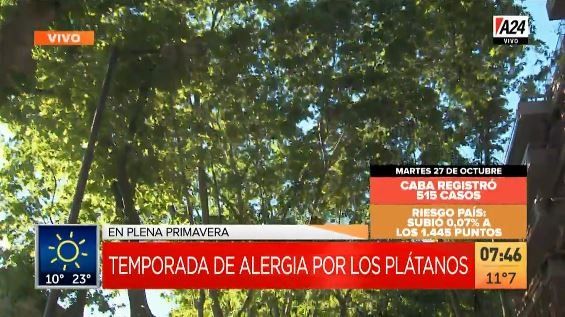 Cómo pueden convivir los argentinos con las alergias al polen en primavera