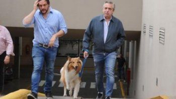 El anuncio menos esperado de Alberto Fernández: su perro, Dylan, fue papá... ¿y cómo se llama su nuevo paseador?