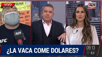 El precio de la carne: ¿las vacas comen dólares y desaparecerán cortes?