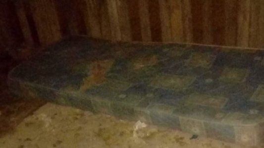 La búsqueda de Maia: entre rastrillajes, helicópteros y análisis de cámaras