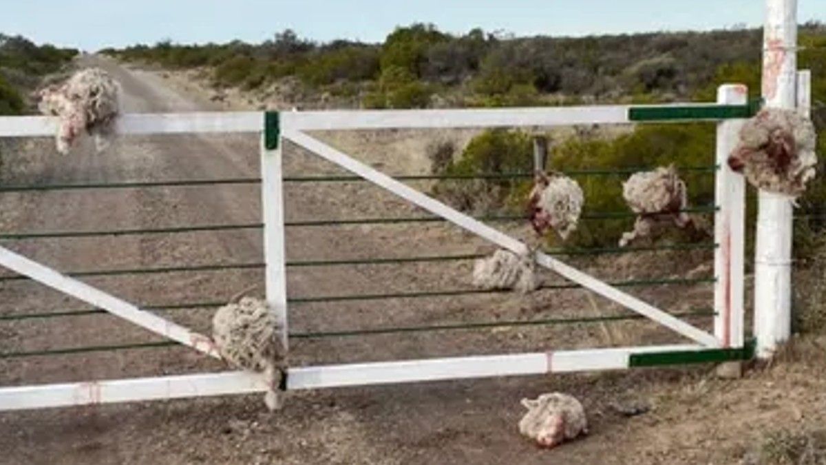 La imagen de las cabezas colgadas.