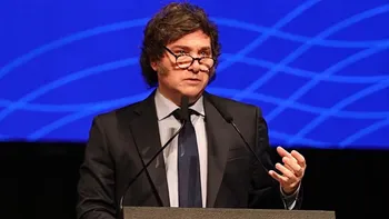 Nueva baja en el Gobierno: renunció Ana Lamas, la subsecretaria de Ambiente de la Nación