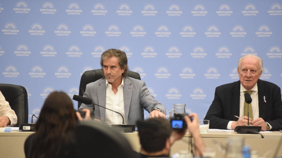 Benegas Lynch desempató la votación y el oficialismo impuso su dictamente de comisión. (Foto: prensa Diputados).