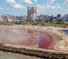 Una impresionante marea roja tomó a las playas de la Costa Atlántica