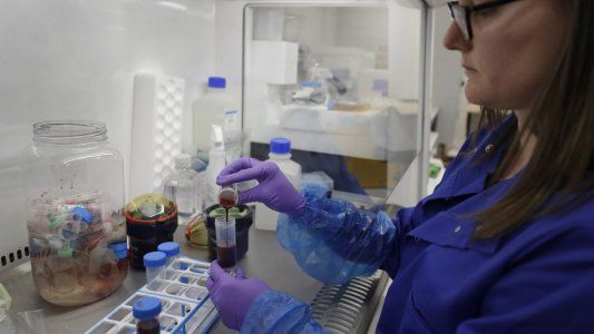 Descubren que un esteroide ayuda a salvar vidas de pacientes graves internados por coronavirus