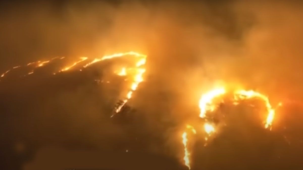 Por primera vez, el fuego no se detuvo en los bosques y arrasó en la ciudad de Lahaina. (Foto: Captura de TV)