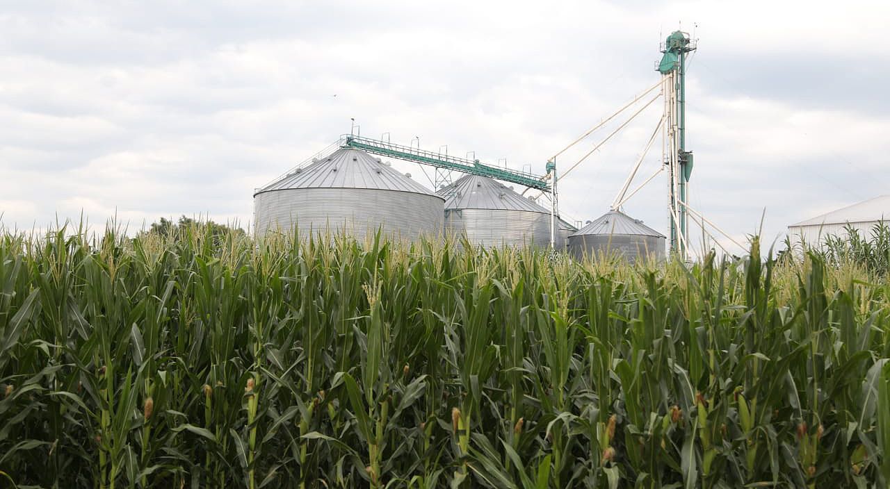 Brasil redujo su estimación productiva en maíz y alienta la esperanza de los productores agropecuarios argentinos. Brasil redujo su estimación productiva en maíz y alienta la esperanza de los productores agropecuarios argentinos.