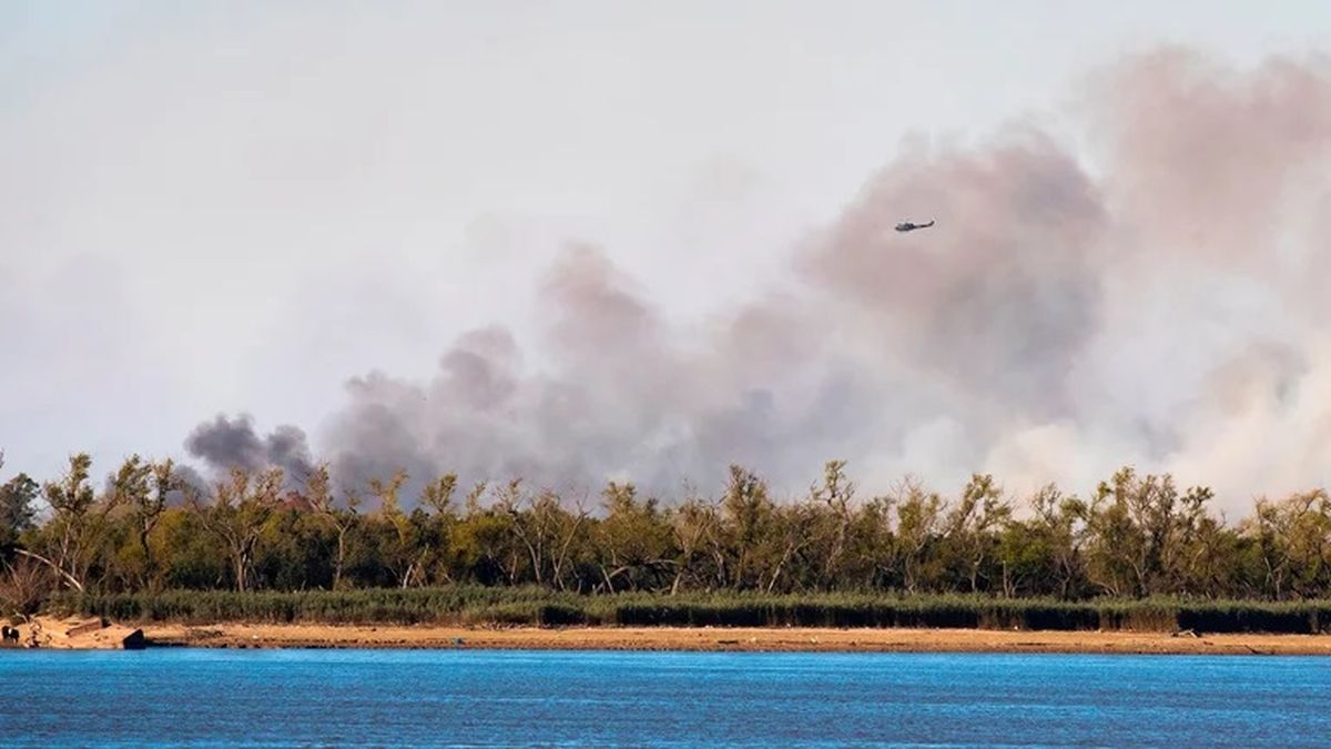 Los incendios en el Delta del Paraná son habituales en el último tiempo (EFE/ Franco Trovato Fuoco/Archivo)