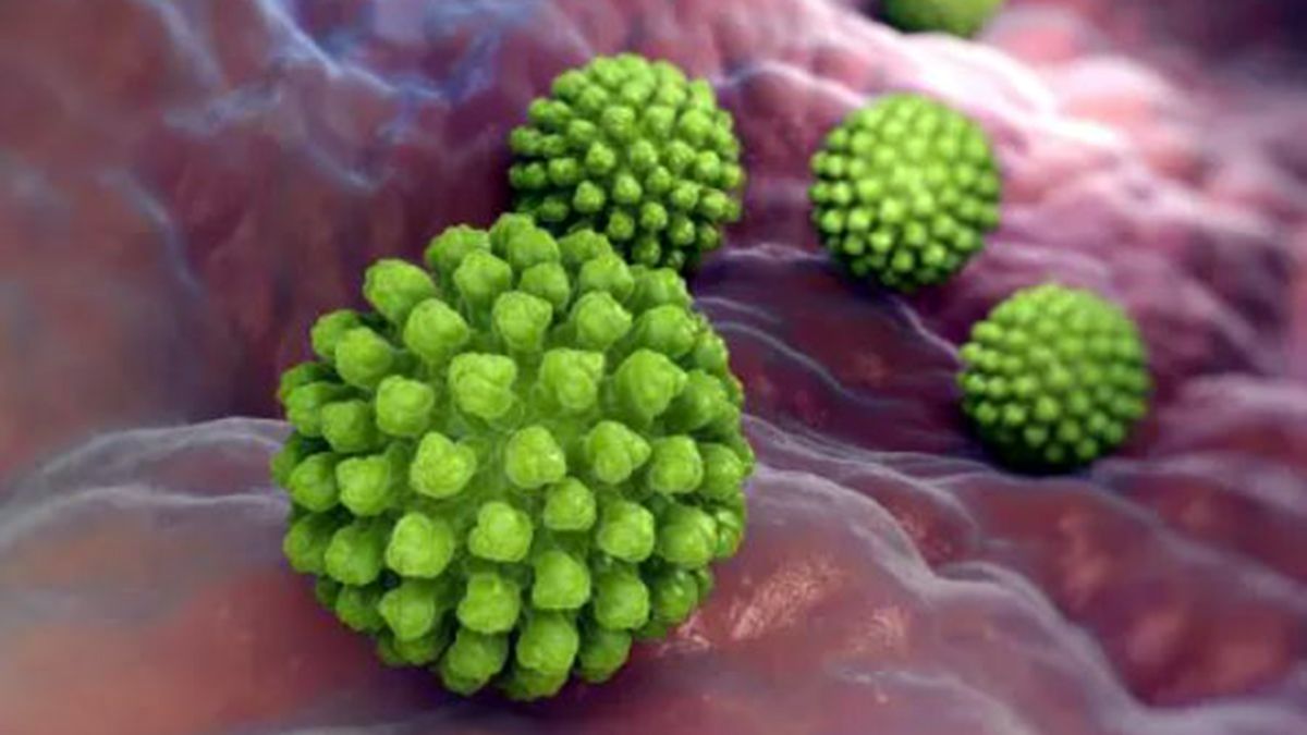 ¿Qué son los norovirus y rotavirus? (Foto: webconsultas)