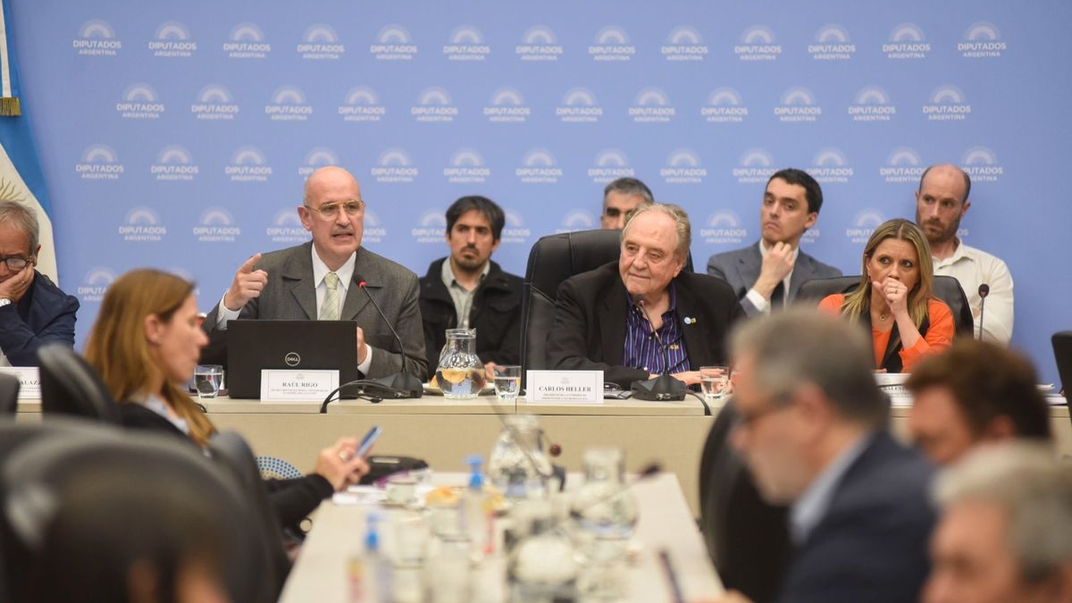 Diputados retomará el trabajo el lunes para escuchar a sectores alcanzados por la Ley Ómnibus