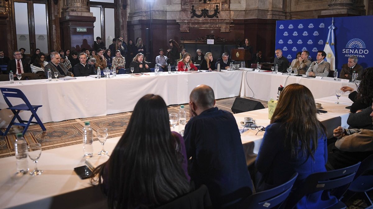 La Comisión de Ciencia y Tecnología del Senado debatió sobre la Ley de Tierras (Foto: Senado de la Nación).