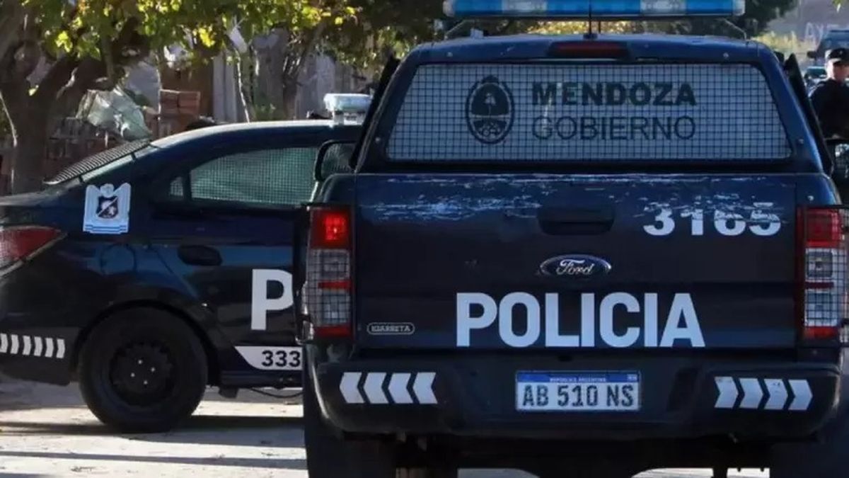 Atropelló a un supuesto ladrón