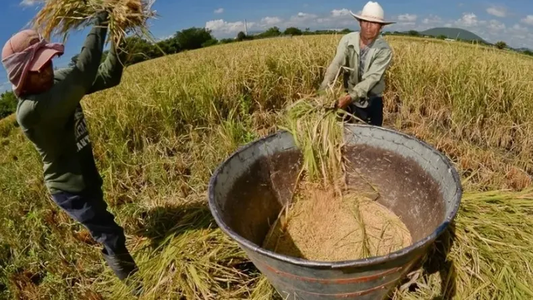 Pymes: oficializaron la eliminación de retenciones para economías regionales