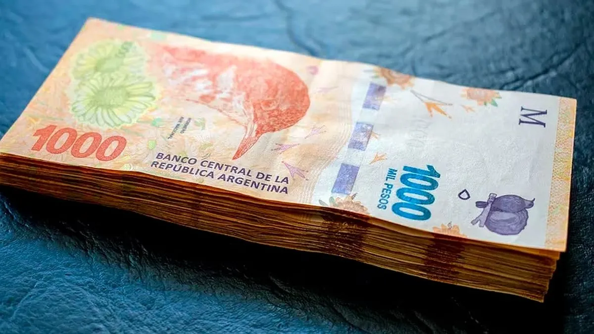 El Gobierno fijó el nuevo valor del Salario Mínimo. (Foto: archivo)