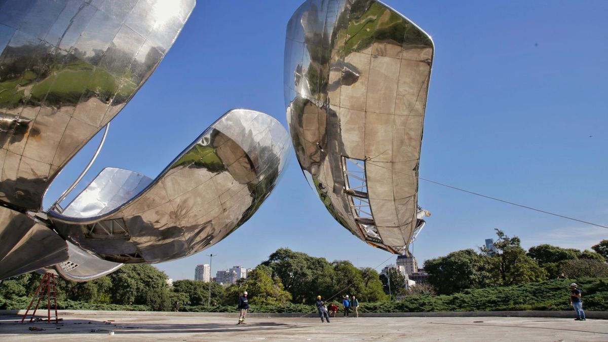 El desmonte de los pétalos dañados. (Foto: Gobierno de la Ciudad)