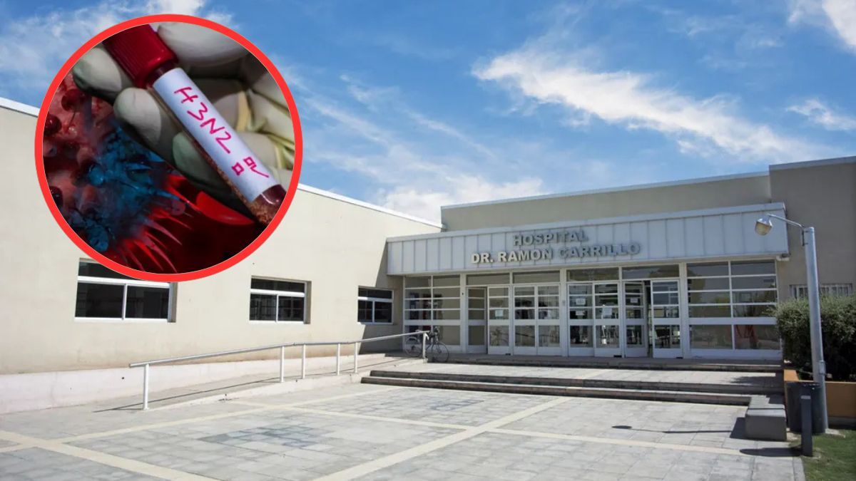 Gripe H3N2: confirmaron la primera muerte en la Argentina tras un caso detectado en Mendoza