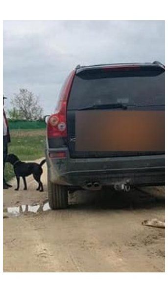 Violaron la cuarentena para arrastrar un perro con un auto hasta matarlo