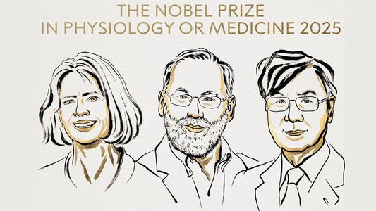 Quiénes son los ganadores del Premio Nobel de Medicina 2025: su gran descubrimiento