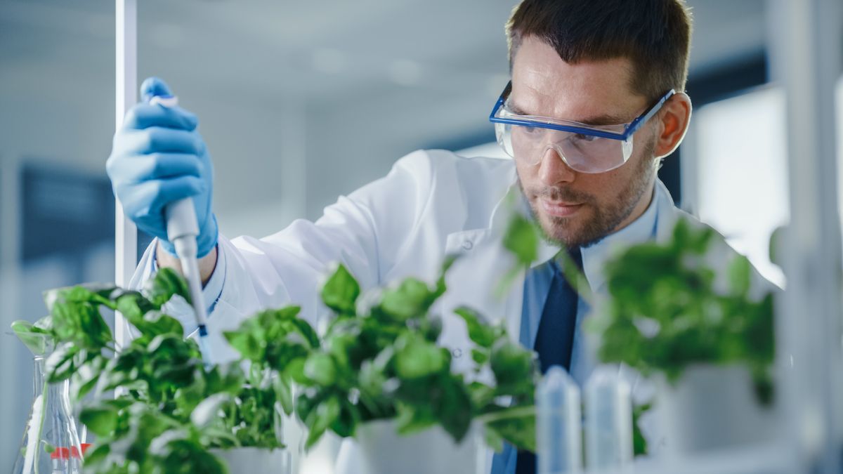 Las líneas contemplan crédito a tasa diferenciada para empresas que estén alineadas al Registro de la Promoción de la Biotecnología Moderna.