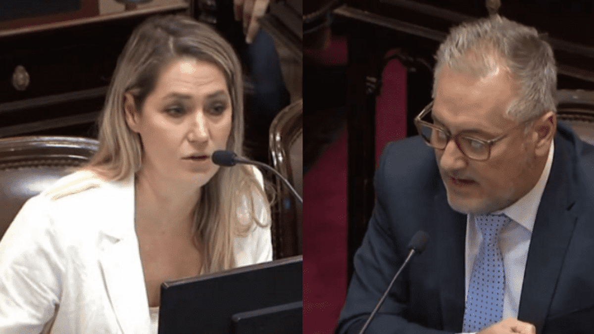 Tenso cruce entre los legisladores santafesinos. (Foto: La Nación)