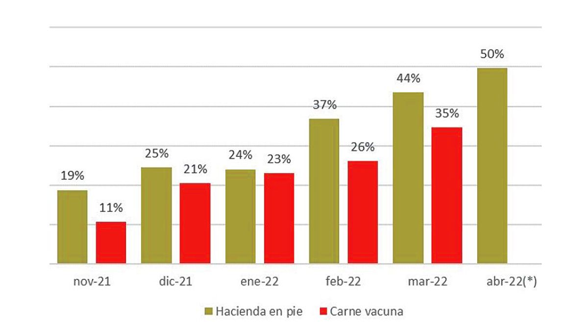 Incrementos acumulados en los precios de la hacienda y de la carne, desde octubre de 2021. (Fuente: IPCVA)