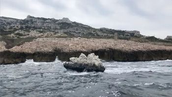 Creyeron que era una roca flotante, pero cuando se acercaron se llevaron una sorpresa