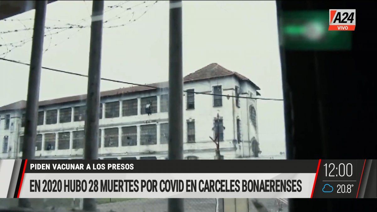 Preocupación por la situación sanitaria de los presos frente al Covid (Foto: captura de TV).