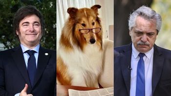 Tras la imputación de Alberto Fernández, Milei lo chicaneó y le hizo un ofrecimiento sobre su perro Dylan (Foto: archivo)