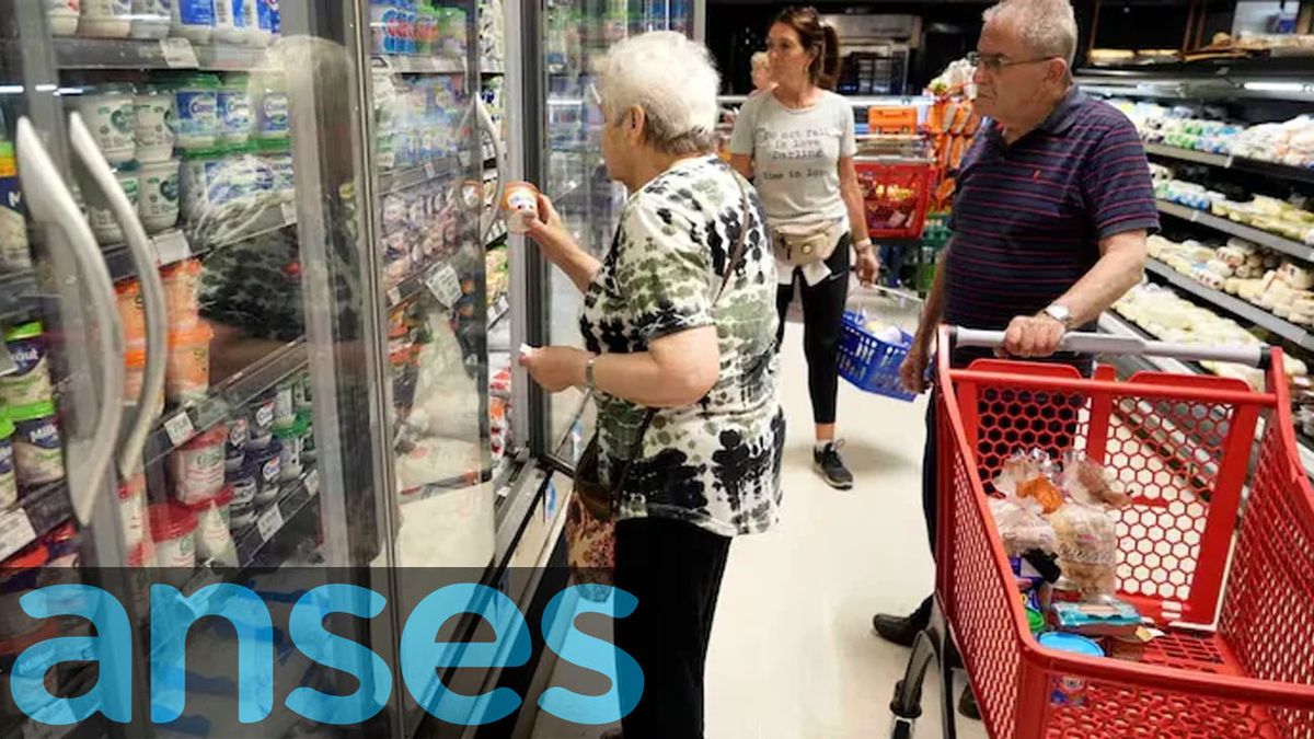 ANSES: todos los descuentos para OCTUBRE en supermercados (Foto: archivo)