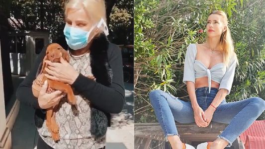 Nicole cuestionó a Susana Giménez por devolver al criadero a su perra: Un animal es como un hijo