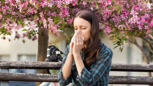 La sorprendente revelación sobre el polen y la proliferación del Covid-19