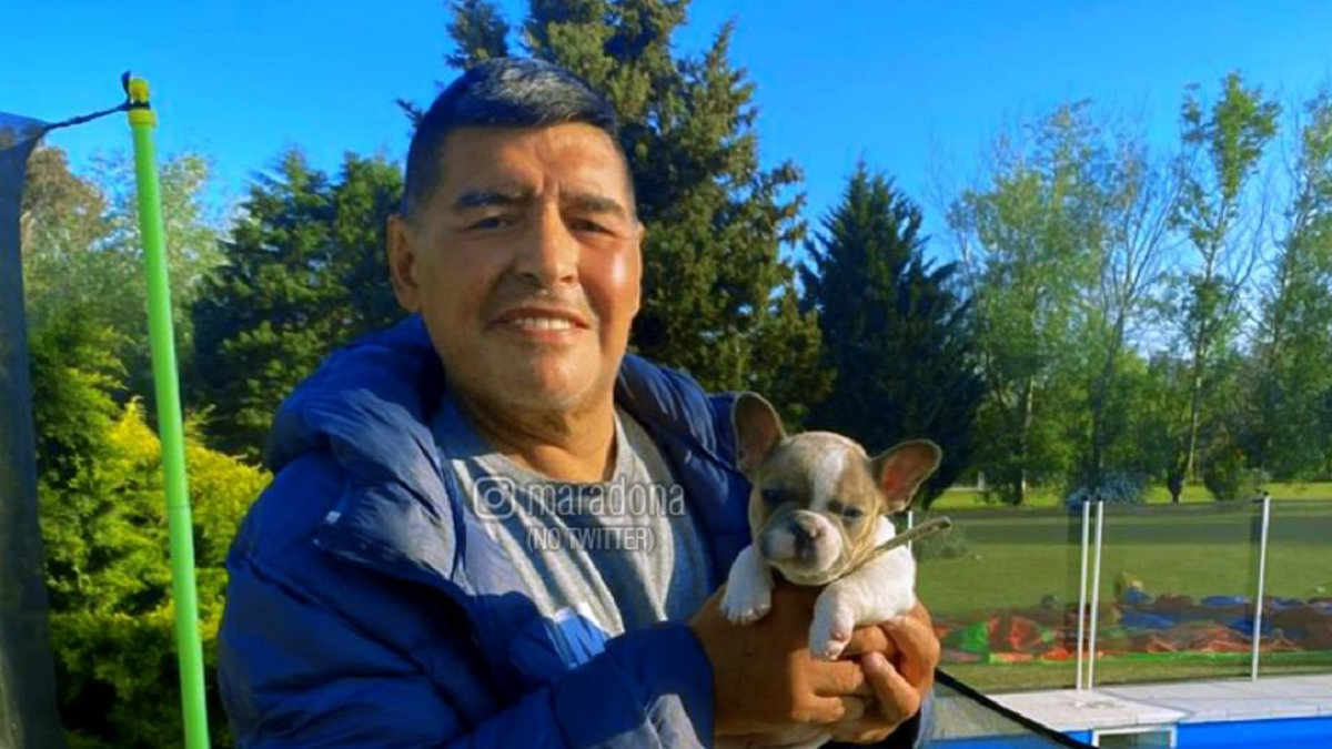 -Diego Maradona-