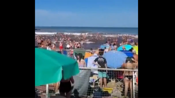 Los impactantes videos de la ola gigante que arrasó con la Costa Atlántica