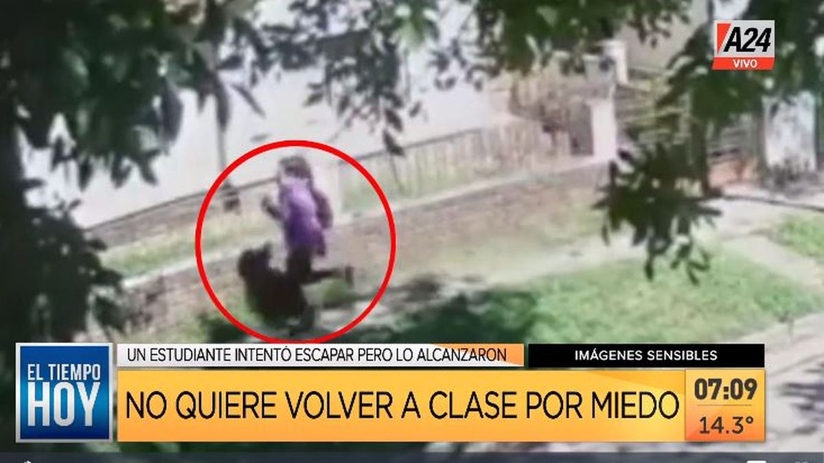 Merlo: no quiere ir a clases por miedo a que le vuelvan a robar. (Captura de Tv)