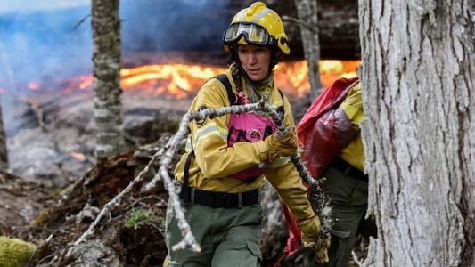 Voraz incendio en Bariloche: el avance de las llamas ya quemó más de 500 hectáreas en un solo día