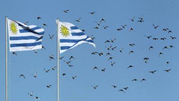 Además de la Argentina ¿Qué otros países elegirán nuevo gobierno este año?