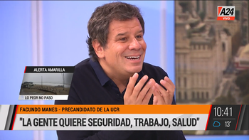 Facundo Manes: En Capital te roban mucho y poco (Foto: captura de TV). Facundo Manes: En Capital te roban mucho y poco (Foto: captura de TV).