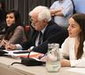 María Ibarzábal Murphy defendió en Diputados el proyecto de Defensa de Soberanía Nacional