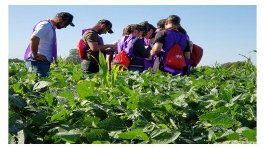 Lanzamiento mundial desde Argentina: FMC suma un nuevo fungicida para soja y maní